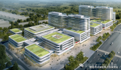 可曲不雅感触感染